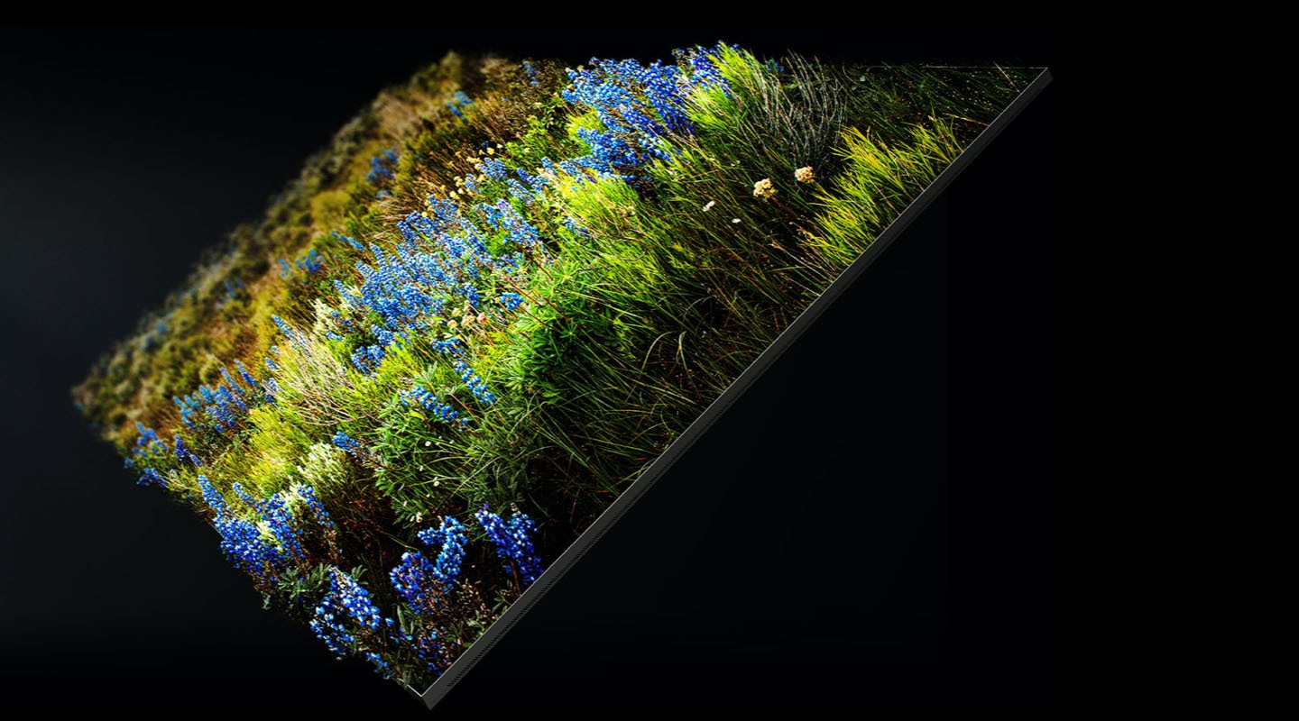 Colorful flowers on Samsung MICRO LED TV module demonstrates authentic detail of color volume representation.